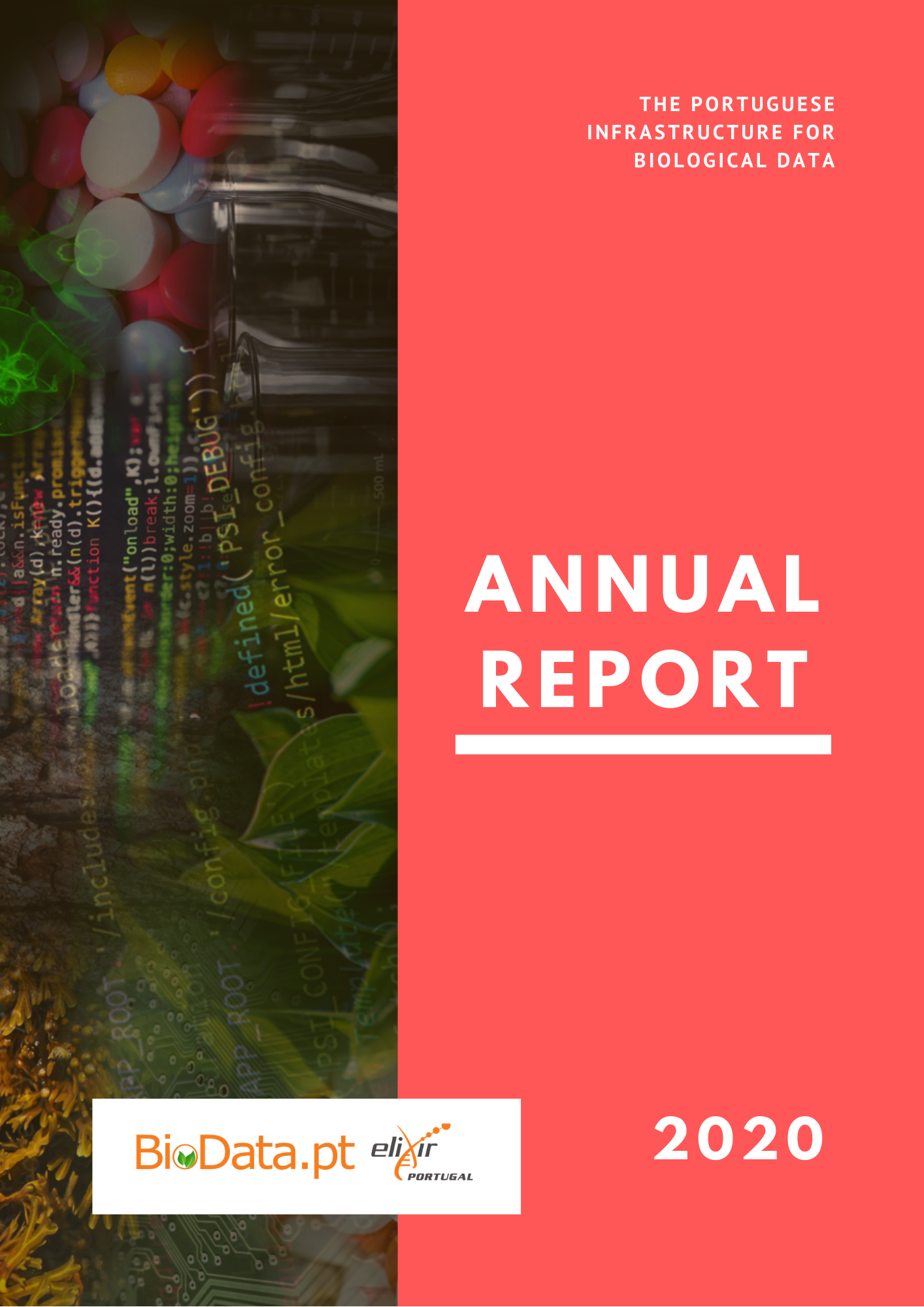 AnnualReport2020