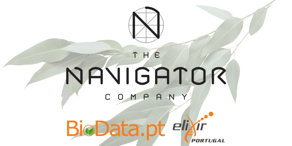 The Navigator Company